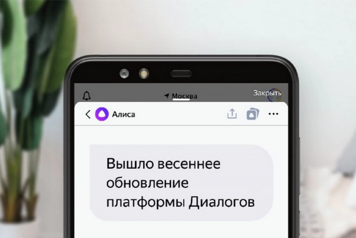 В Яндекс.Диалогах вышло весеннее обновление для разработчиков