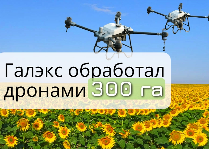 Галэкс обработал 300 гектаров поля с помощью дронов