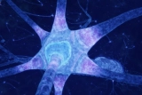 Ученые МФТИ собирают первый искусственный нейрон