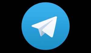 
		
			Депутаты Госдумы предложили официально оставить Telegram в покое		
		